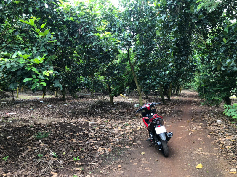 Bán gấp lô đất 2 mặt tiền đường-Phường Bình Lộc-Đồng Nai