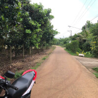 Bán gấp lô đất 2 mặt tiền đường-Phường Bình Lộc-Đồng Nai